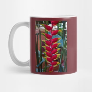 Costa Rica. Exotic Flower -  Heliconia pendula. Mug